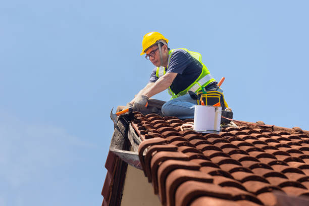 Best Roof Maintenance  in USA